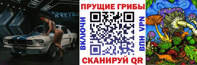 Псилоцибиновые грибы мицелий  Кедровый 