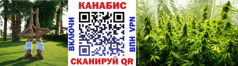 купить закладку mega зеркало это официальный сайт Кедровый Каннабис тримм